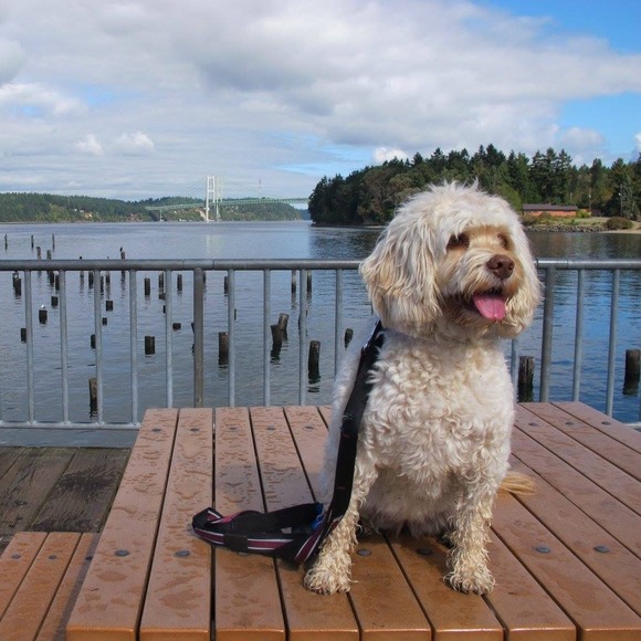 Meet your Posher, Kristy - Picture 1 of 1